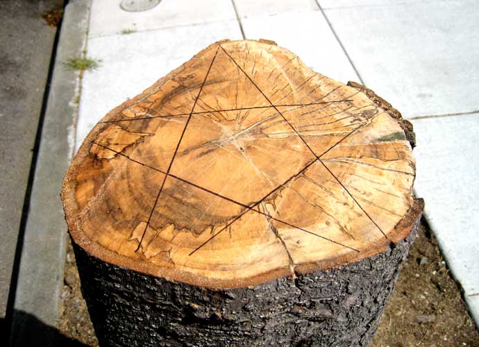 Dodecahedron Stump - Dan Sternof Beyer