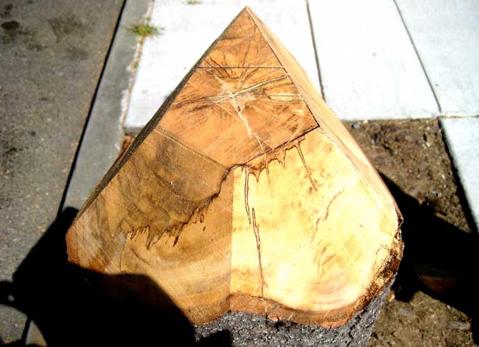 Dodecahedron Stump - Dan Sternof Beyer