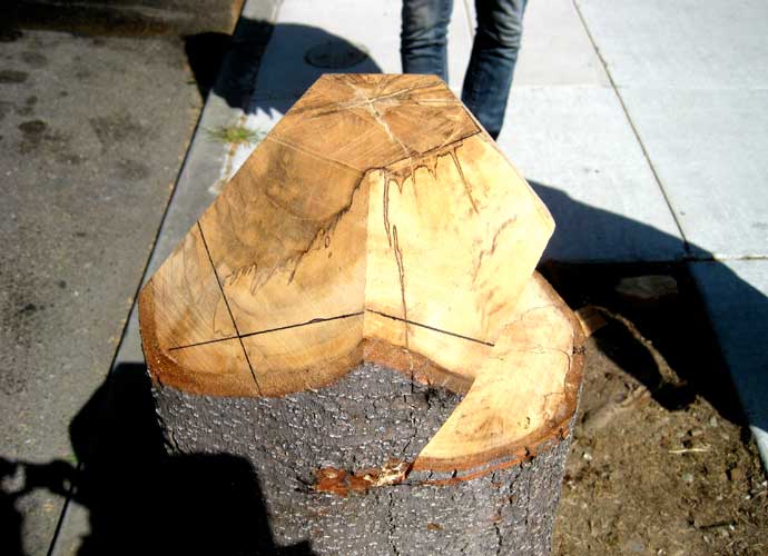 Dodecahedron Stump - Dan Sternof Beyer