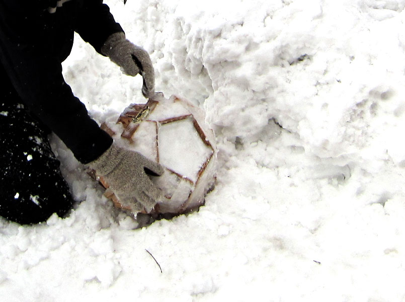 Dan Sternof Beyer - Snowdecahedron